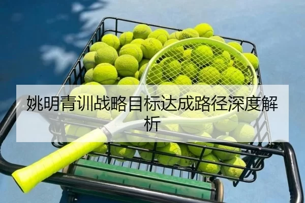 姚明青训战略目标达成路径深度解析
